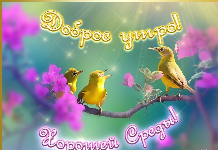 Открытки